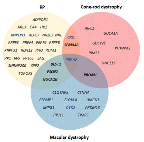 A Venn Diagram Of Genes Shared Between Different Autosomal Dominant Ird