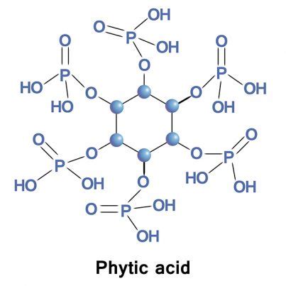 Phytic acid sources, health benefits and uses