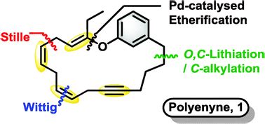 Macrocyclic Polyenynes A Stereoselective Route To Vinyl Ether