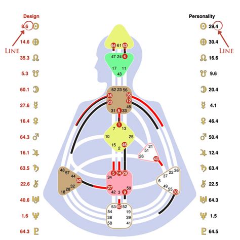 What Are The Gates In Human Design Get Your Free Human Design Chart