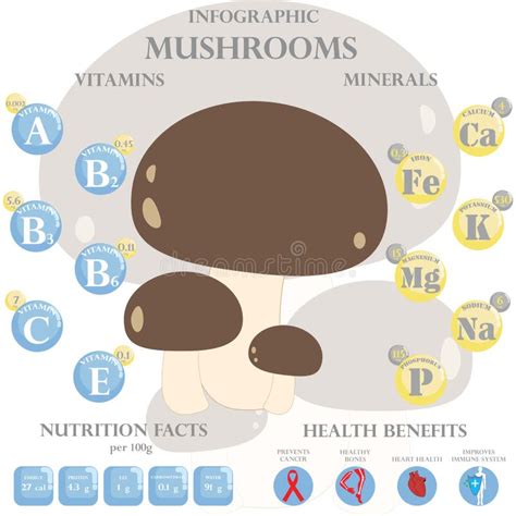 Mushrooms Nutrition Facts and Health Benefits Infographic Stock Vector - Illustration of diet ...