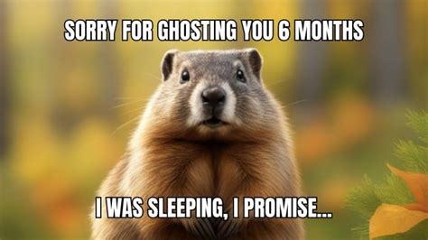 Personalize online this Simple Funny Groundhog Long Meme template