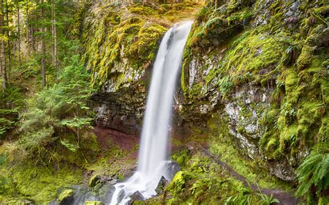 Covel Creek Falls With Trail Behind It Gifford Pinchot National Forest