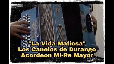 La Vida Mafiosa Los Canelos De Durango Acordeon Mi Re Mayor Youtube