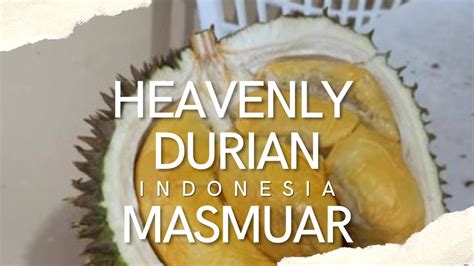 DURIAN PARTY INDONESIA DURIAN MASMUAR DARI JAWA YouTube