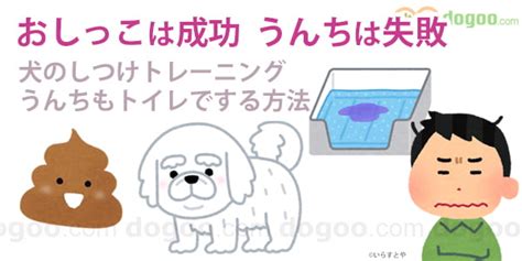 素晴らしき いらいらする 明らかに 犬 うんち を トイレ で しない ヒット 防衛 ライオン