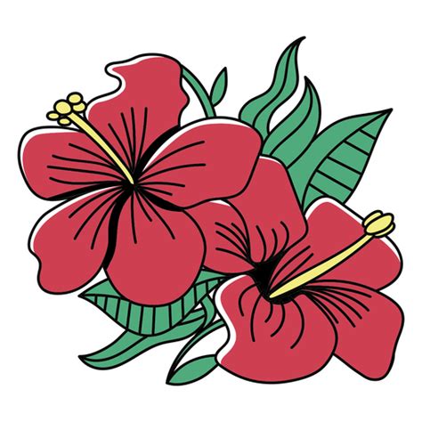 Gráficos De Hibiscus Para Descargar