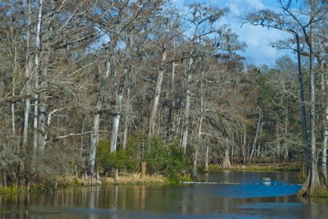 Manatee Springs State Park | Florida Hikes!