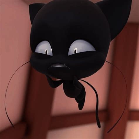 Miraculous Adrien Agreste Cat Noir Chat Noir Czarny Kot Plagg Icons