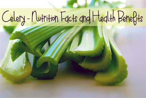 Celery - Nutrition Facts and Health Benefits | BrightHealing.com