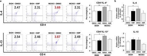 Kaempferol Therapy Improved Mc Induced Atopic Dermatitis In A Mouse