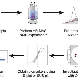 A Typical High Resolution Magic Angle Spinning Hr Mas Nmr Based