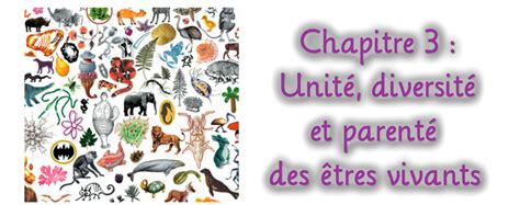 Diversit Parent S Unit Tres Vivants Cours Int Gralx