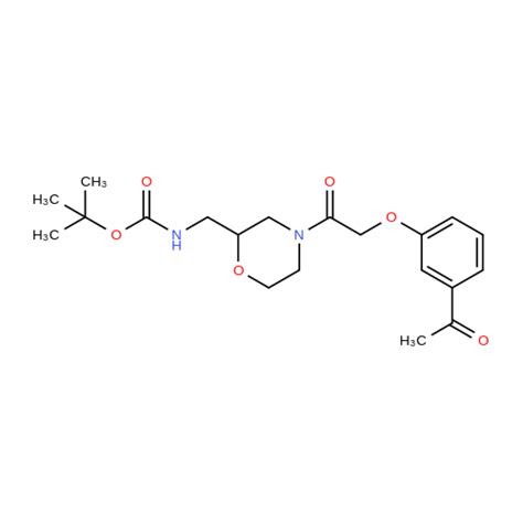 Tert Butyl N Acetylphenoxy Acetyl Morpholin Yl