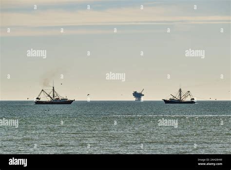 Barco De Camar N En El Golfo De M Xico A La Pesca Del Camar N De