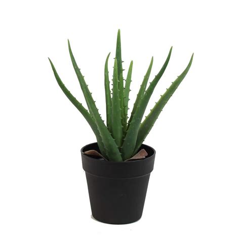 The Mod Greenhouse 14 In Green Artificial Aloe Vera Plant In Black Matte Pot Ypg01060 The