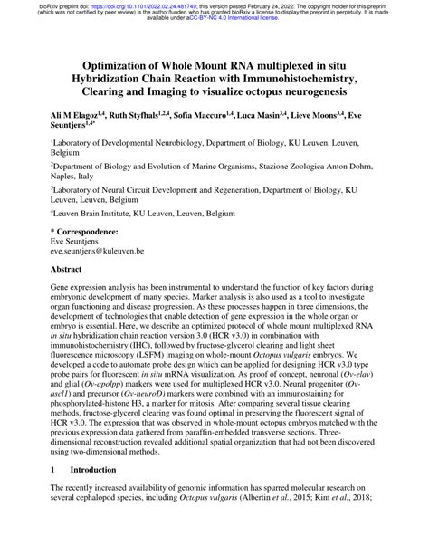 Pdf Optimization Of Whole Mount Rna Multiplexed In Situ Hybridization