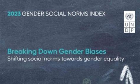 Undp Gender Social Norms Index 2023 Chamber Of Commerce Sustainable