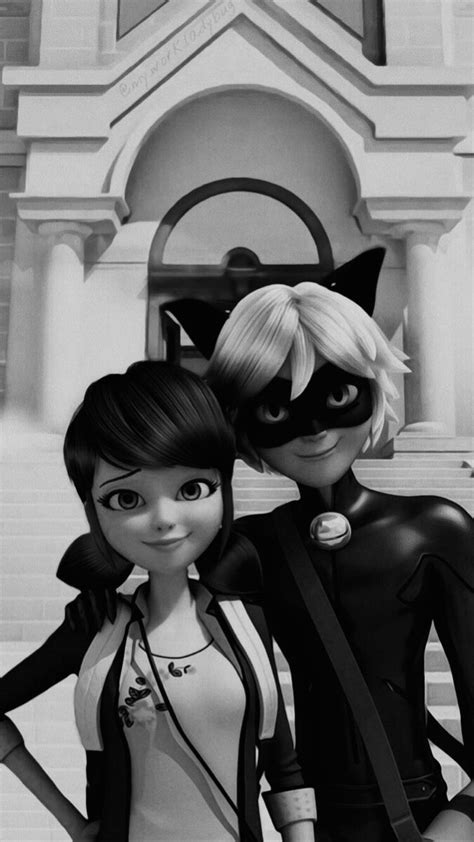 Pin Di Del Espacio Mami Su Ladybug Y Cat Noir