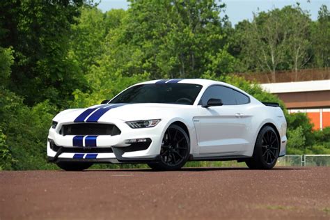 2016 Ford Shelby GT350 for Sale at Auction - Mecum Auctions