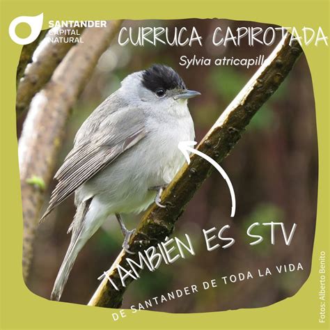 Santander Capital Natural On Twitter Hoy En Tambiensonstv Os Traemos