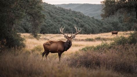 Premium Ai Image Majestic Elk Amidst Untamed Wilderness Jungle