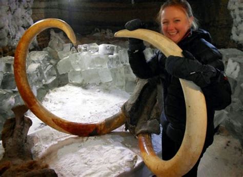 40,000-year-old blood brings mammoth cloning closer | Geology Page