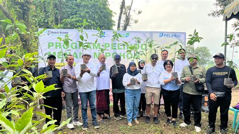 Sambut Pelindo Day Pelindo Sub Regional Bali Nusra Tanam Bibit