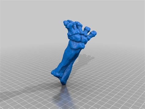 Stegosaurus Footprint 3d Models Download Creality Cloud