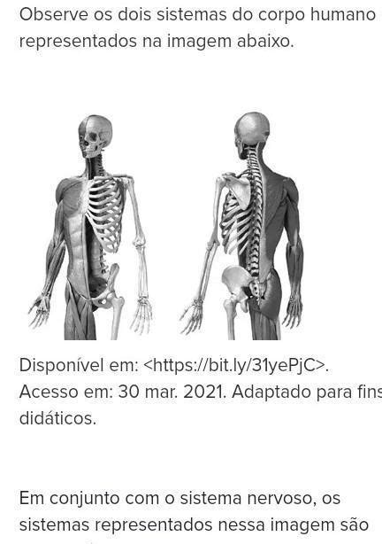 Observe Os Dois Sistemas Do Corpo Humano Representados Na Imagem Abaixo