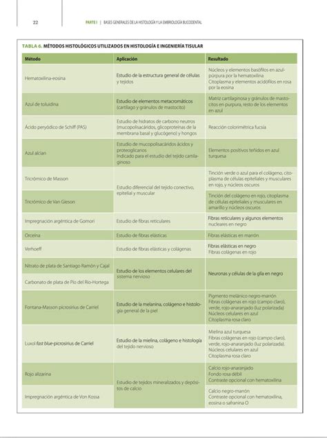 Libro De Histolog A Embriolog A E Ingenier A Tisular Bucodental Pdf