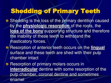 Ppt Tooth Eruption Powerpoint Presentation Free Download Id1716126