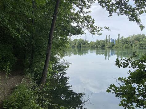 FKK Und Nacktbaden In Nimburg Nimburger Baggersee Impressionen