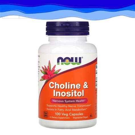 Now Foods Choline Inositol 500 Mg 100 Capsules Shopee Philippines