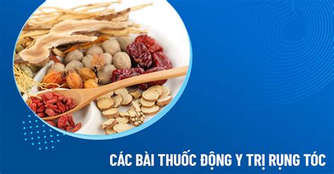 10 bài thuốc Đông y trị rụng tóc hỗ trợ hiệu quả nên tham khảo