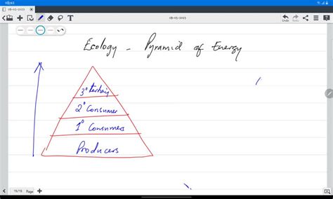 Solved The Diagram Shows A Model Of An Ecosystem Energy Pyramid 88 Sciencefactsnot What Does