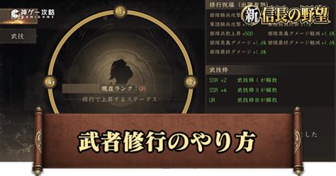 【新信長の野望】武者修行のやり方とメリット【シンノブ】 神ゲー攻略