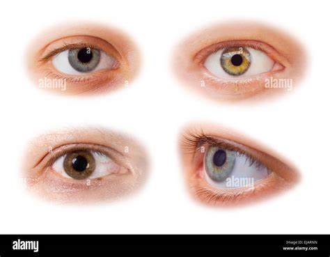 Hazel Eye Cut Out Stock Images And Pictures Alamy