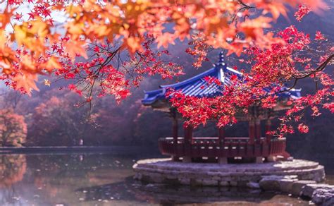 Where To Enjoy An Awesome Autumn In Korea