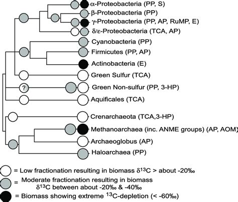 Carbon Isotopic Signatures From The Literature Fig Tables A And