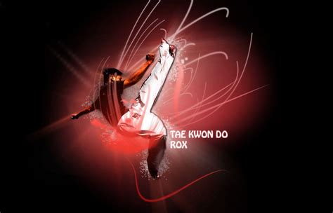 Taekwondo HD Wallpapers Wallpaper Cave