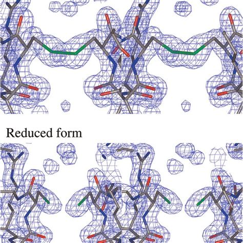 Cleavage of the disulfide bond. The disulfide bond between residues ...