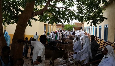 Unamid Supports Midwifery Project In Zalingei Central Darfur Unamid