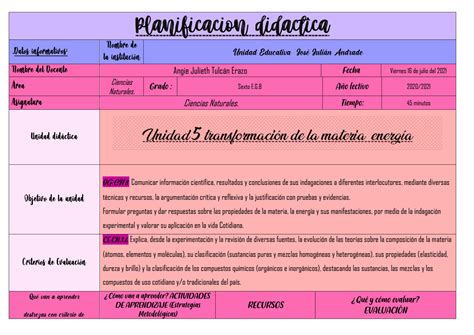 Solution Planificaci N Did Ctica De Ciencias Studypool