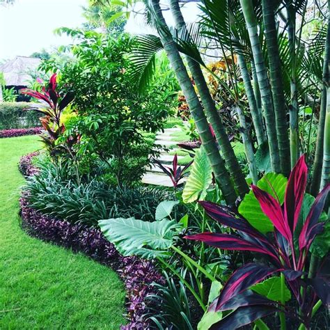 20 Tropical Garden Edging Ideas The Urban Decor