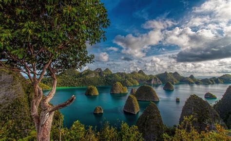 5 Spot Menyelam Terbaik Di Raja Ampat Purnawarta