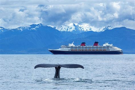 Alaska Whale Watching: Where to Go & Planning Tips | Travel Alaska