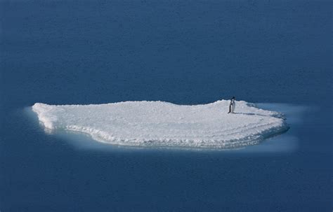 Tourists Stranded on Arctic Ice Floe Make It To Shore | Weather.com