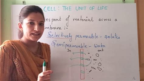 Functions Of Plasma Membrane Transport Of Molecules Cell The Unit Of Life Class Xi Ncert