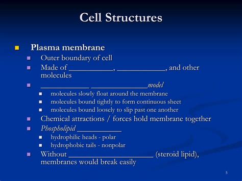 PPT Anatomy Physiology Of Cells Chapters 3 4 Anatomy Physiology